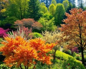 Sierbomen die Kleurrijke Accenten Toevoegen