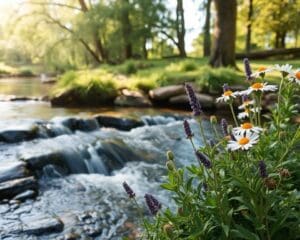 Stressmanagement met behulp van natuurlijke remedies