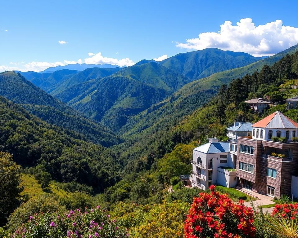 Andeslandschappen in Medellín