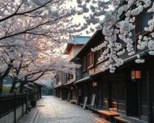 Bezienswaardigheden in de eeuwenoude straten van Kyoto