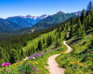 Hikingroutes ontdekken: waar begin je?