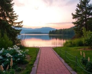 Mindfulness voor meer energie en helderheid