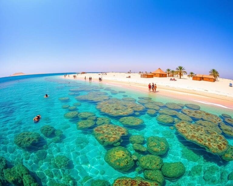 Ontdek de Beste Excursies in Hurghada