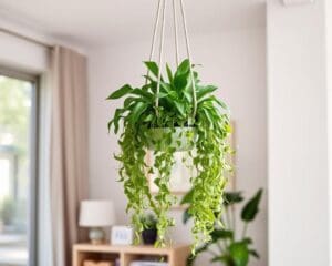 Plantenhanger: groen en ruimtebesparend interieur