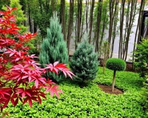 Wat zijn goede bomen voor een kleine tuin?