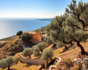 Assos – Egeïsche rust op een Griekse heuvel 🇬🇷