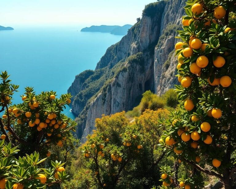 Sorrento – Kliffen en citroenen aan zee 🇮🇹
