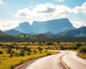 Waarom is Zuid-Afrika geschikt voor rondreizen?