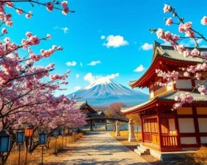 Waarom kiezen reizigers voor een rondreis door Japan?