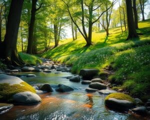 Hoe draagt natuur bij aan innerlijke rust?