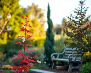 bomen kleine tuin